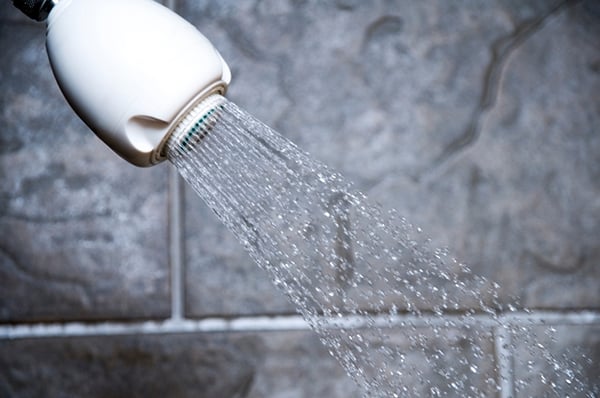 N2915N Earth Showerhead White Spray in Shower
